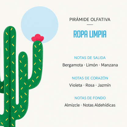 Ambientador Difusor Cactus Ropa Limpia Deco Diffuser SYS Aromas 90 ml | Aroma Fresco y Limpio | Relajante_2