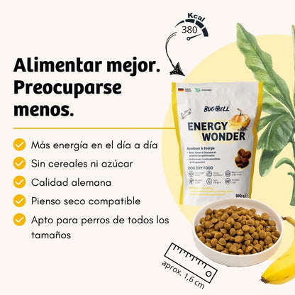 BugBell EnergyWonder Pienso – hipoalergénico, sin cereales, con proteína de insecto, plátano y chía_1