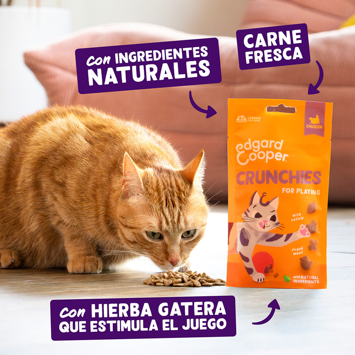 Galletitas de pollo Premios naturales para gatos Edgard Cooper 50 g