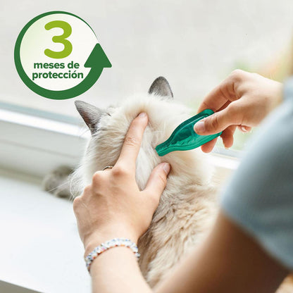 Pipetas repelentes antiparasitarias naturales gatos 3x1 ml