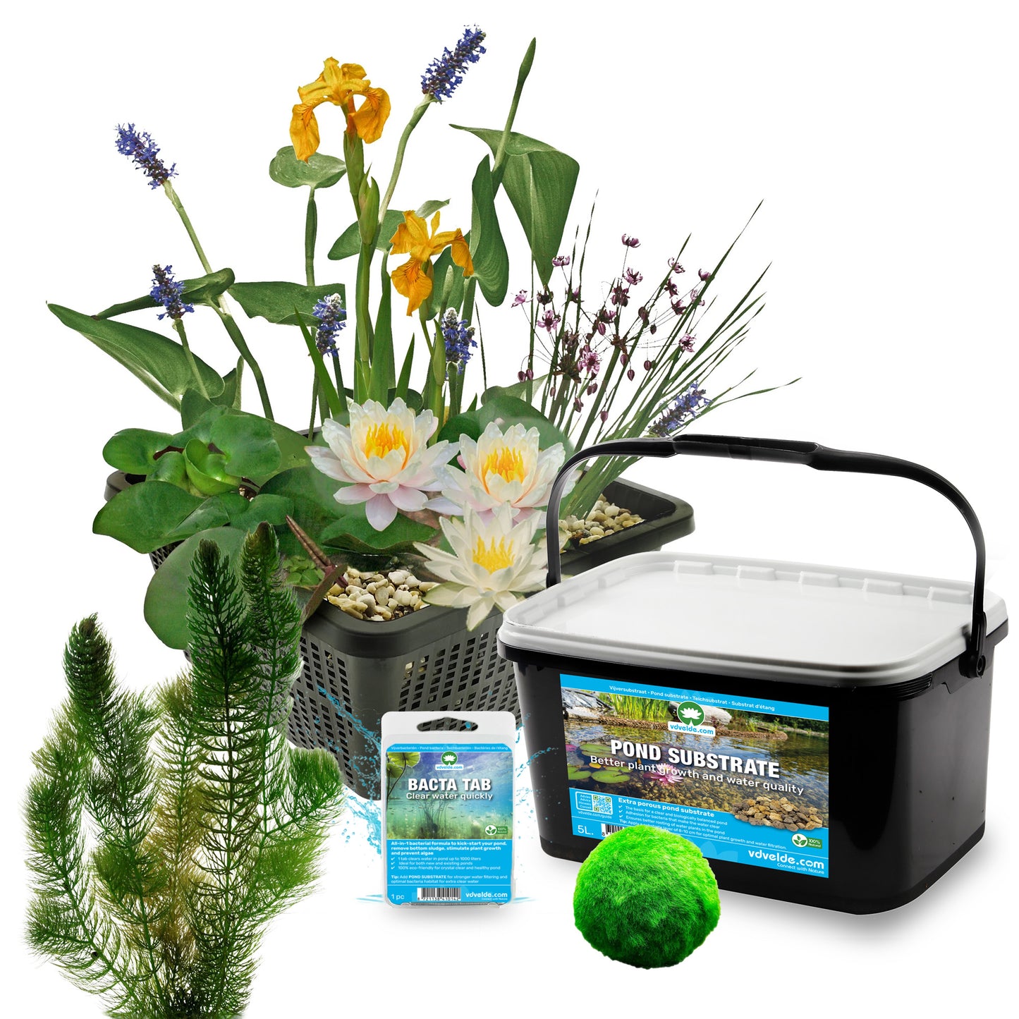 Mini Estanque Set Completo Blanco 25-90l - 11 Plantas Y Bacterias_2