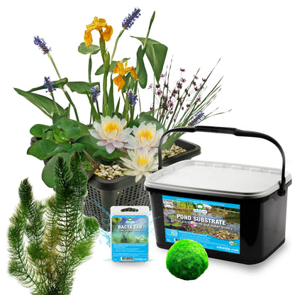 Mini Estanque Set Completo Blanco 25-90l - 11 Plantas Y Bacterias_2