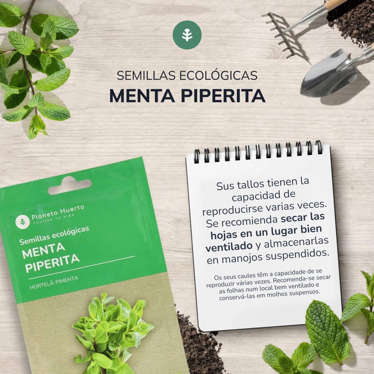 Semillas de Menta piperita ecológicas Planeta Huerto