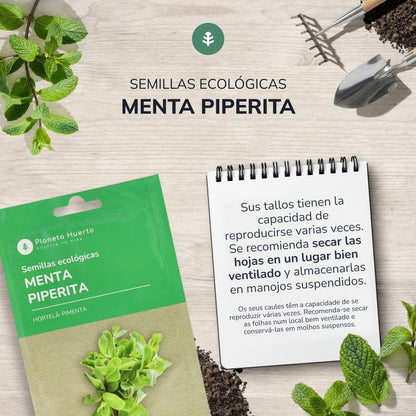 Semillas de Menta piperita ecológicas Planeta Huerto