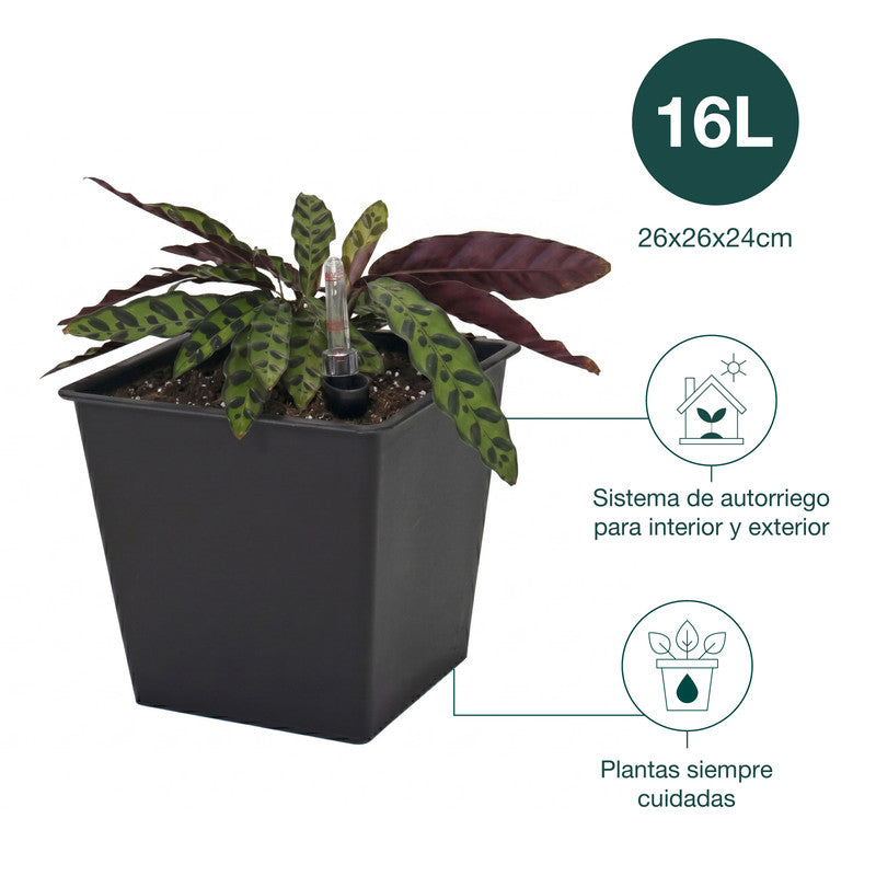 Maceta Autorriego De Polipropileno Interior Y Exterior Hortalia 16 L 26x26x24 Cm_4