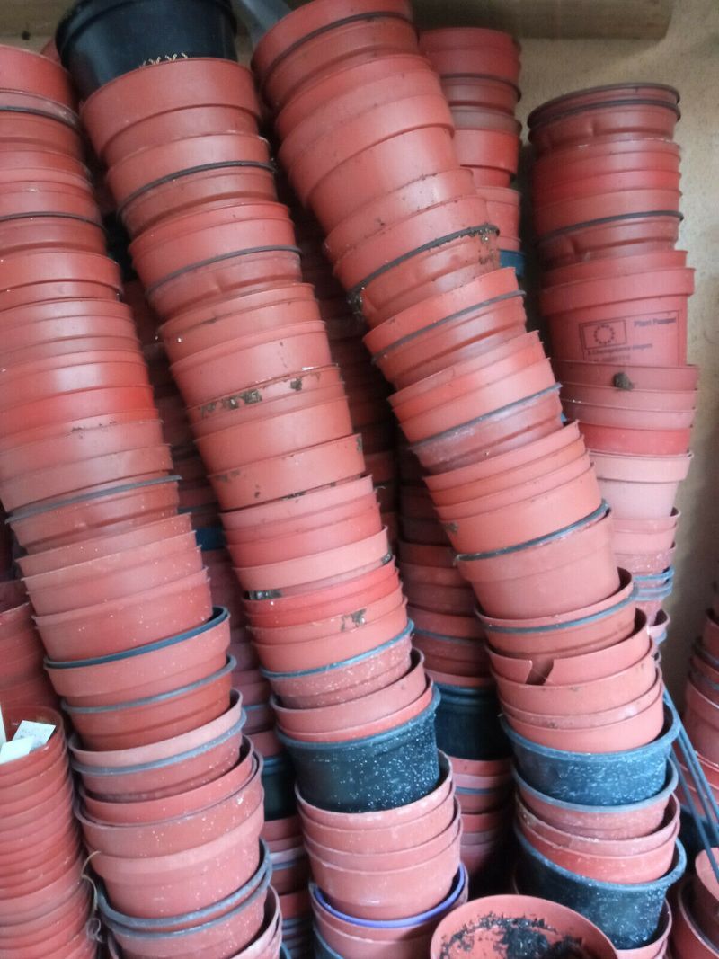 Lote 10 Macetas 8'5 Cms Usadas Plastico Plantas_0