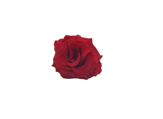 Mundo Eterno Rosa Preservada Abierta Roja 10cm_0