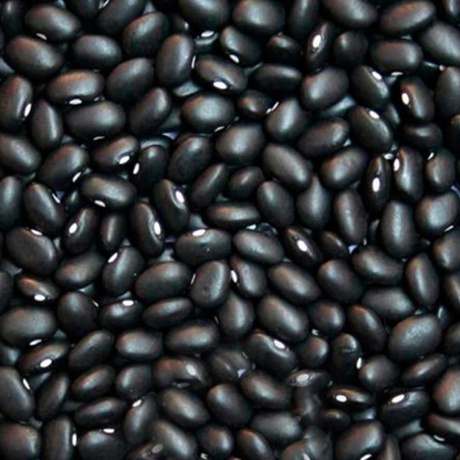 Frijoles En Grano Ecológicos 500gr_2