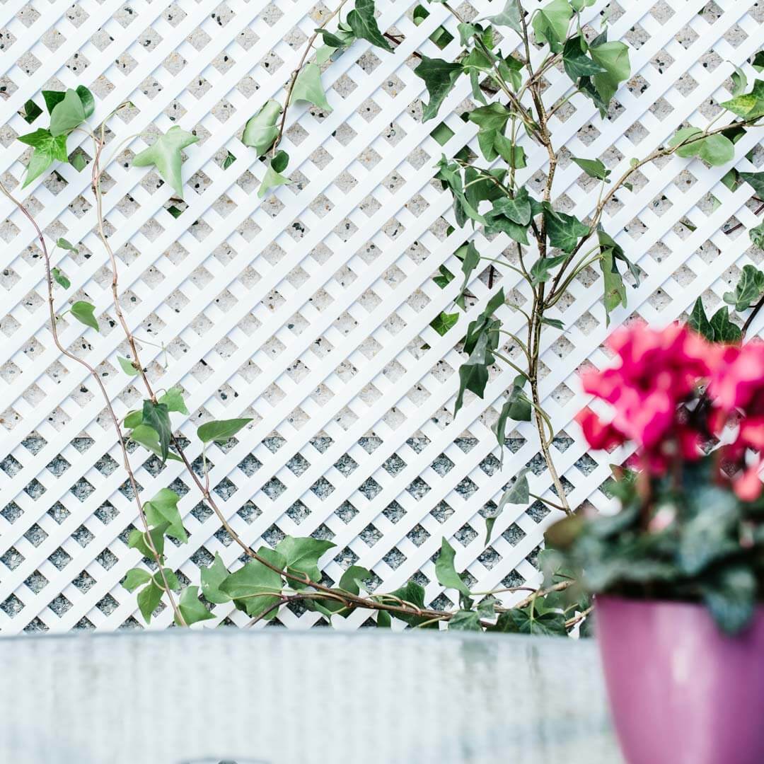 Celosia Pvc 18 Mm 1x2 Blanco Nortene_3
