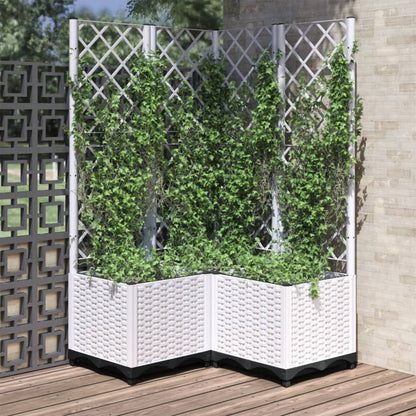 Jardinera Con Enrejado Pp Blanco 80x80x136 Cm_1