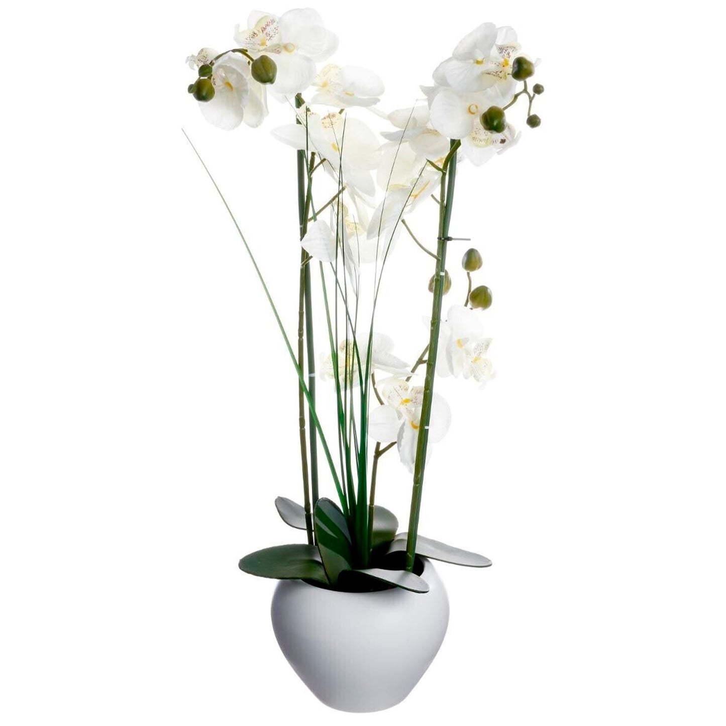 Jarrón De Orquídea Blanca Cerámica H.53_0