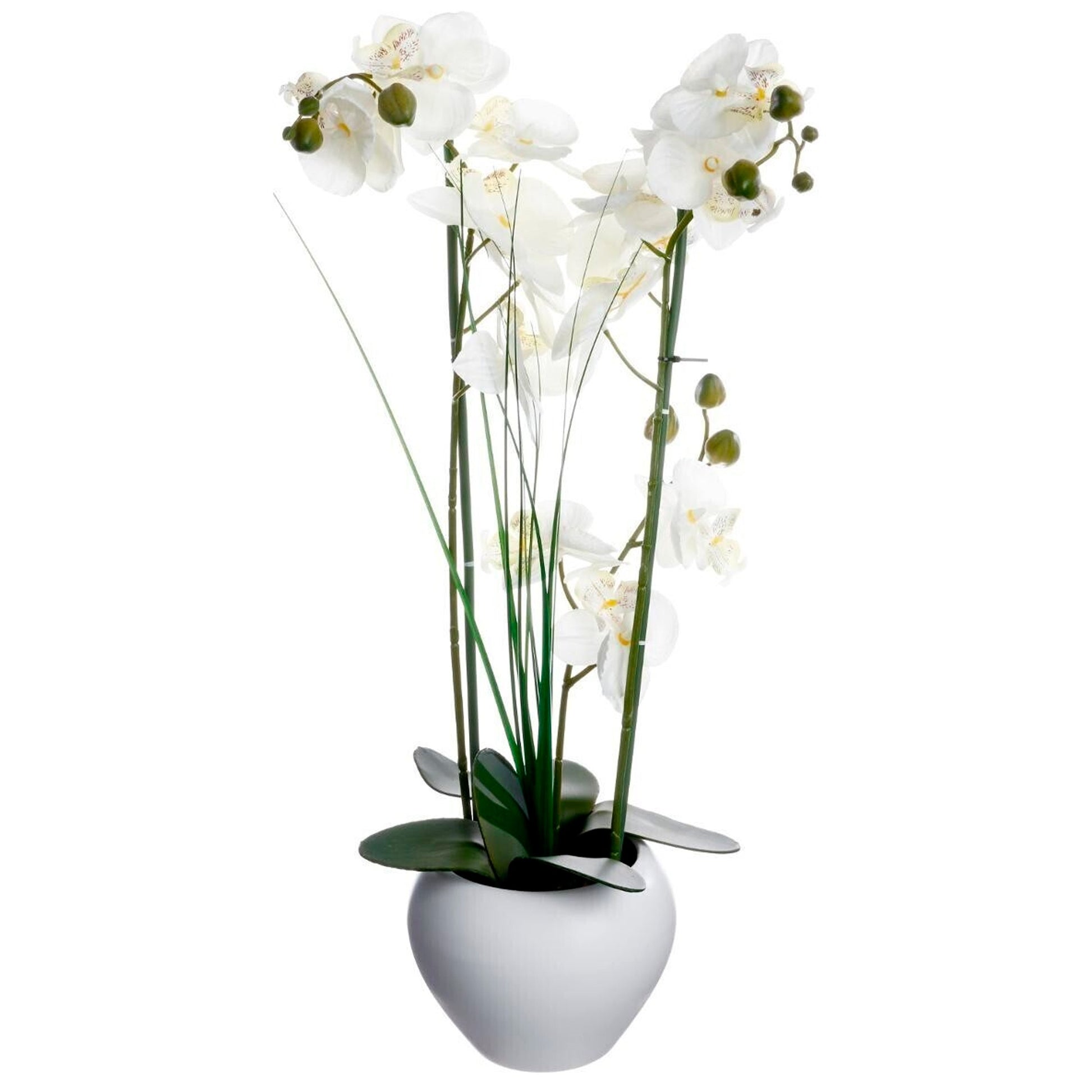 Jarrón De Orquídea Blanca Cerámica H.53_0