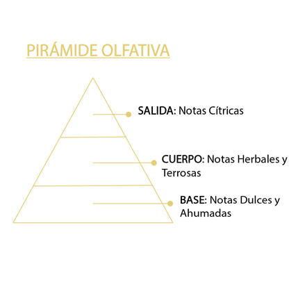 Esencia Natural Citronela SYS Aromas 12 ml | Aroma Cítrico y Herbal | Para Quemadores y Humidificadores_4