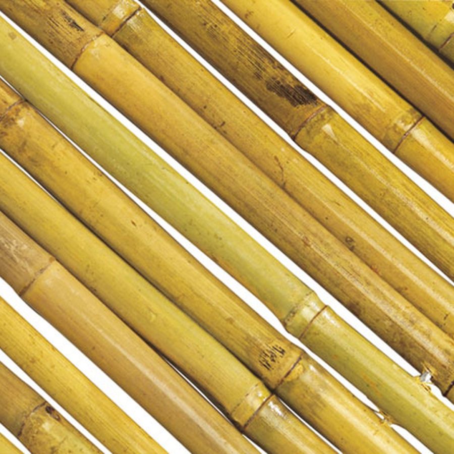 Cañizo Entero Barnizado Bambooflex 1,5x3 M Nortene_1