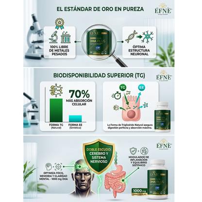 Omega 3 Dha Plus Efne (certificación Ifos™) – 60 Perlas | Forma De Triglicérido (tg)_2