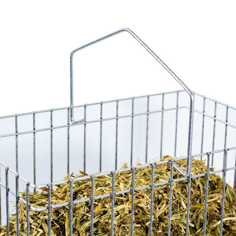 Cesta Para Hierba - Forrajera Para Aves De Corral - Comedero Antiestrés Para Gallinas - Acero Galvanizado_2
