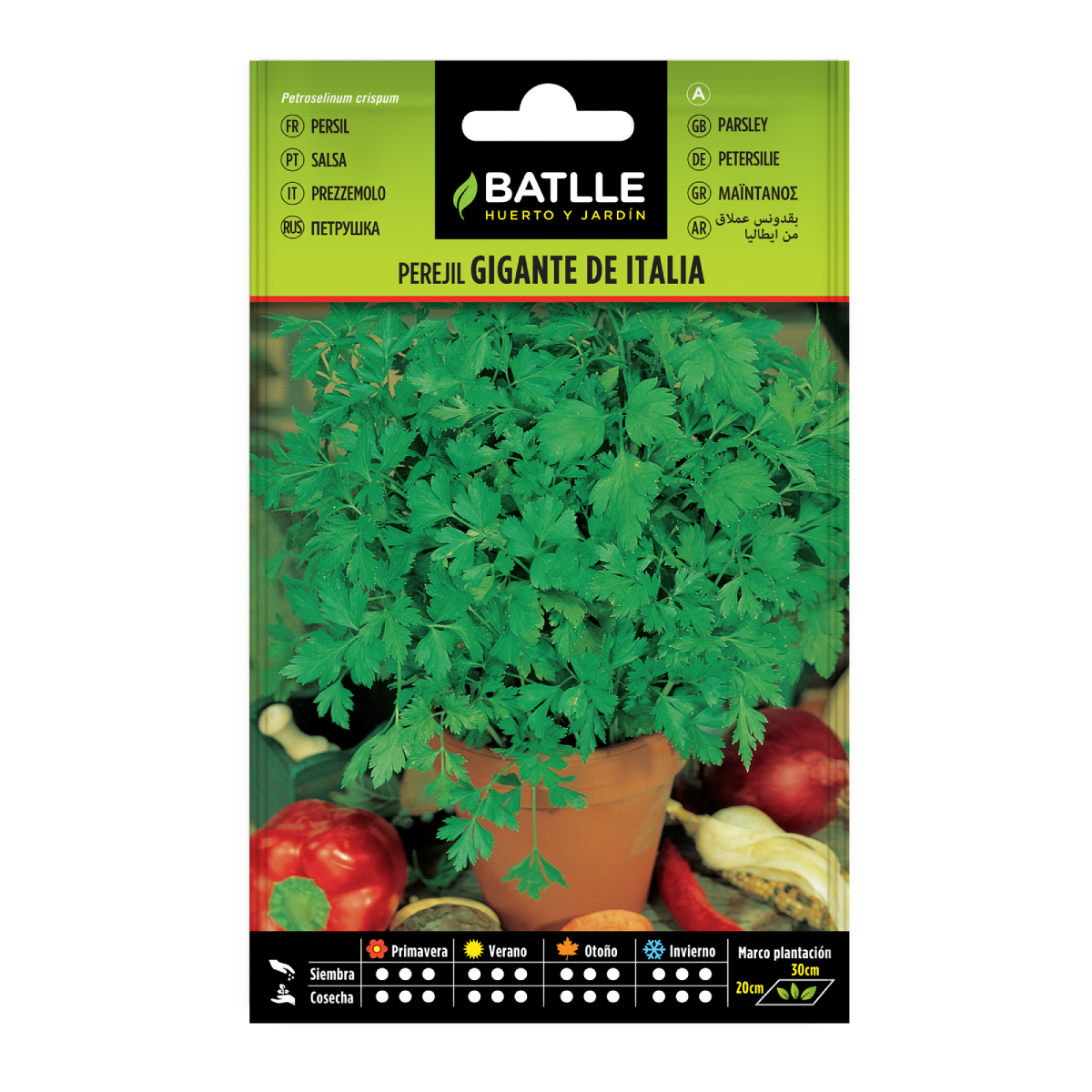 Semillas de Perejil gigante de Italia  Batlle