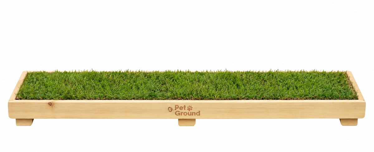 Petground, Cama Para Conejos, Caja De Madera, Accesorio, Mueble Xl: 120 X 42 Cm_1