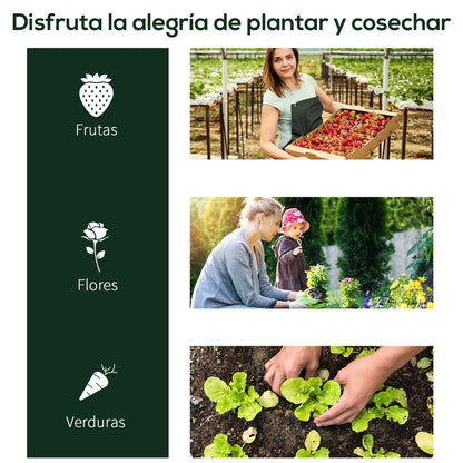 Outsunny Invernadero Caseta 200x100x80 Cm Para Jardín Terraza Cultivo De Plantas_5