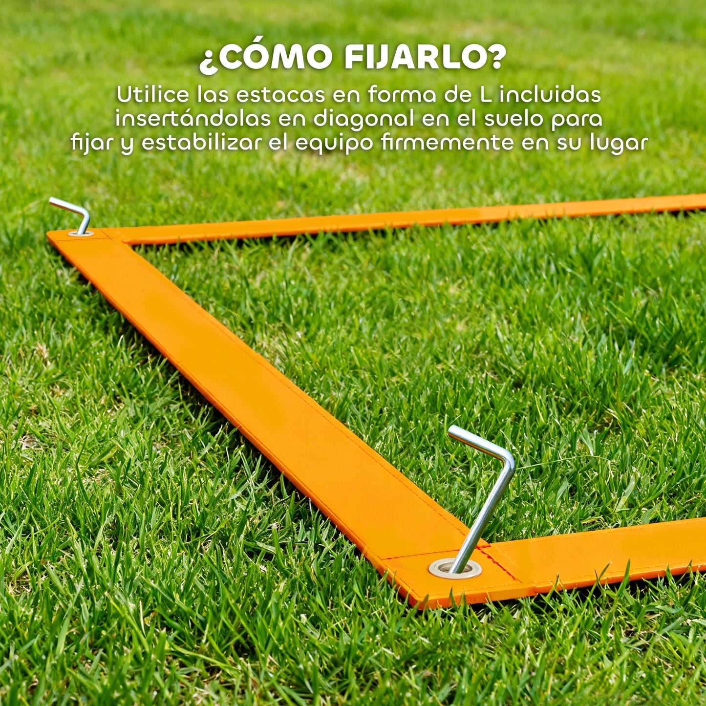 Pawhut Set De Entrenamiento De Agilidad Para Perros De 4 Piezas Naranja Y Azul_3