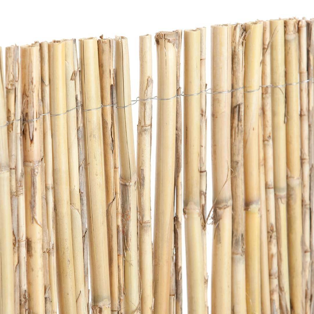 Cañizo Entero Natural Excelcane 1x5 M Nortene_0