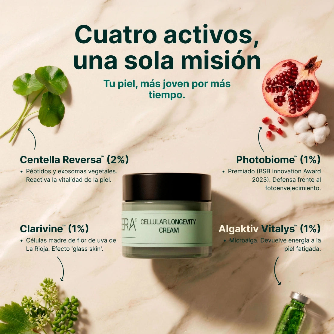 Crema Facial - Cellular Longevity Cream 50 Ml Synsera Labs_4