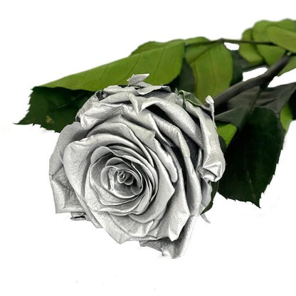 Mundo Eterno Rosa Preservada Plata 35cm_0