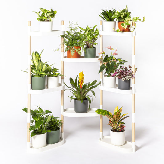 Soporte Modular Citysens De 8 Bandejas – Blanco, Polipropileno 100% Reciclado Y Madera Ecológica Pefc_0