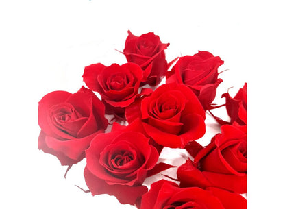Mundo Eterno Rosas Rojas Preservadas 12 Unidades 3-4cm_1