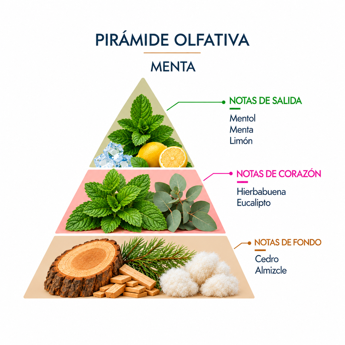 Esencia Natural Menta SYS Aromas 12 ml | Aroma Fresco y Herbal | Para Quemadores y Humidificadores_3