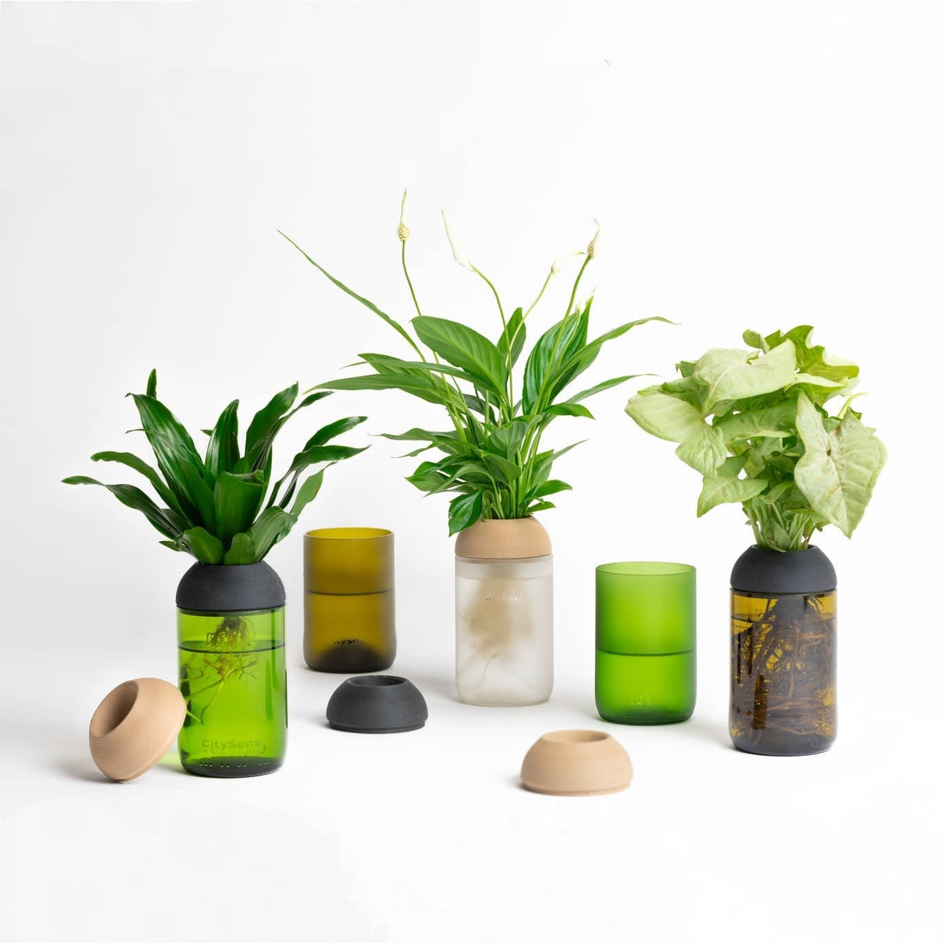 Macetero Transparente Citysens Con Planta Y Soporte De Ébano – Ámbar, Vidrio Reutilizado Y Biofilamento De Madera 3d_3