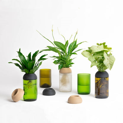 Macetero Transparente Citysens Con Planta Y Soporte De Ébano – Ámbar, Vidrio Reutilizado Y Biofilamento De Madera 3d_3