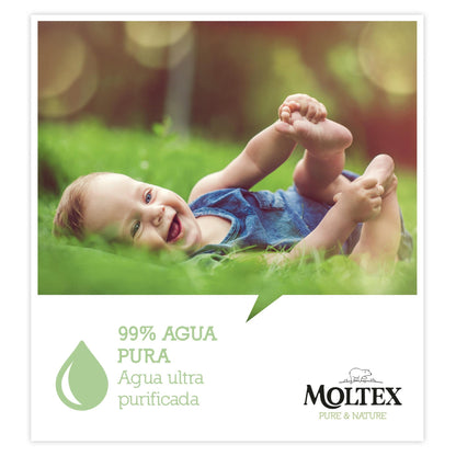 PROMO ESPECIAL Toallitas Moltex Pure &amp; Nature, 120 Uds