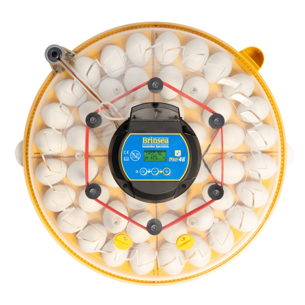 Incubadora Brinsea MAXI 48 Connect - Control Remoto Desde El Móvil, Programación Digital De Temperatura, Humedad Y Vo_1