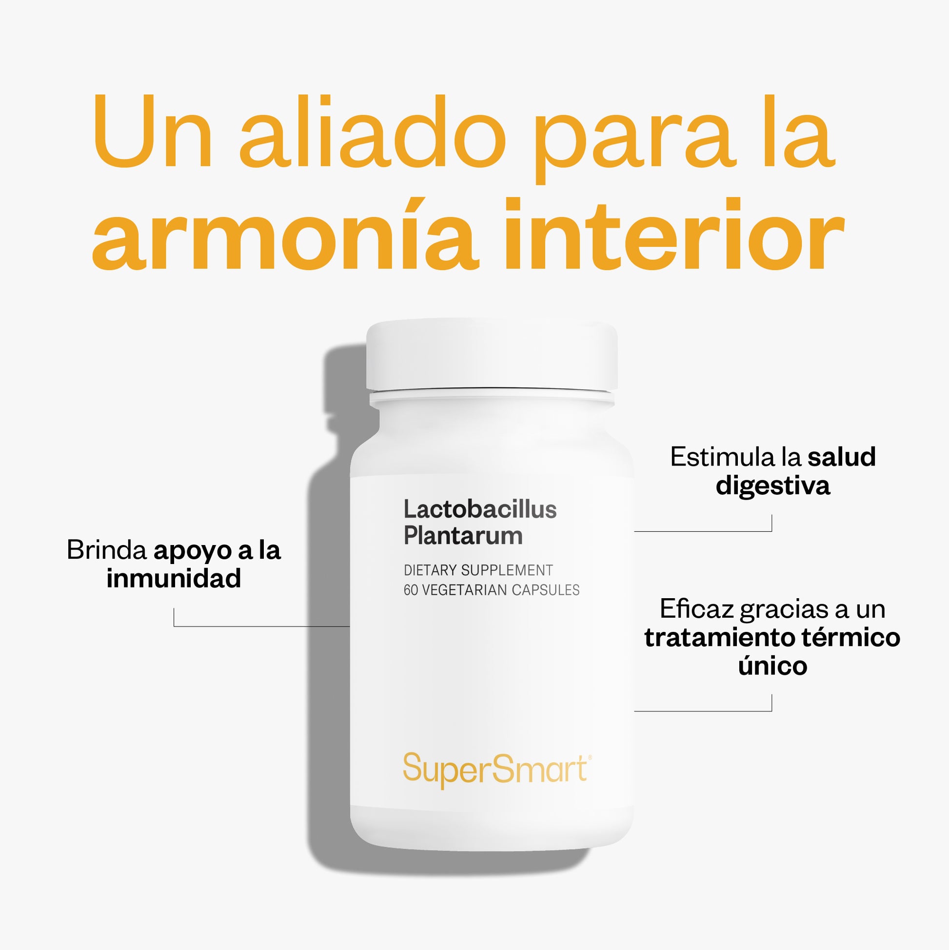 Lactobacillus Plantarum_2