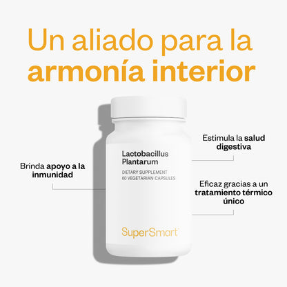 Lactobacillus Plantarum_2