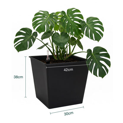 Pack De 3 Macetas Autorriego De Polipropileno Interior Y Exterior Hortalia 67 L 42x42x38 Cm_2