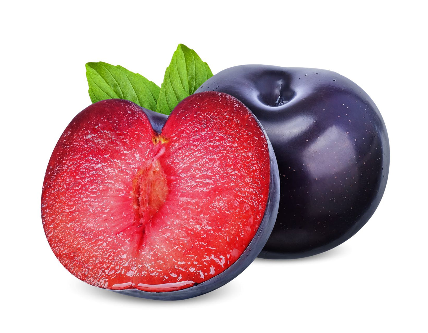 Frutal Ciruelo Friar - Planta Natural - Maceta 26cm. - Altura Aprox. 120/150_1
