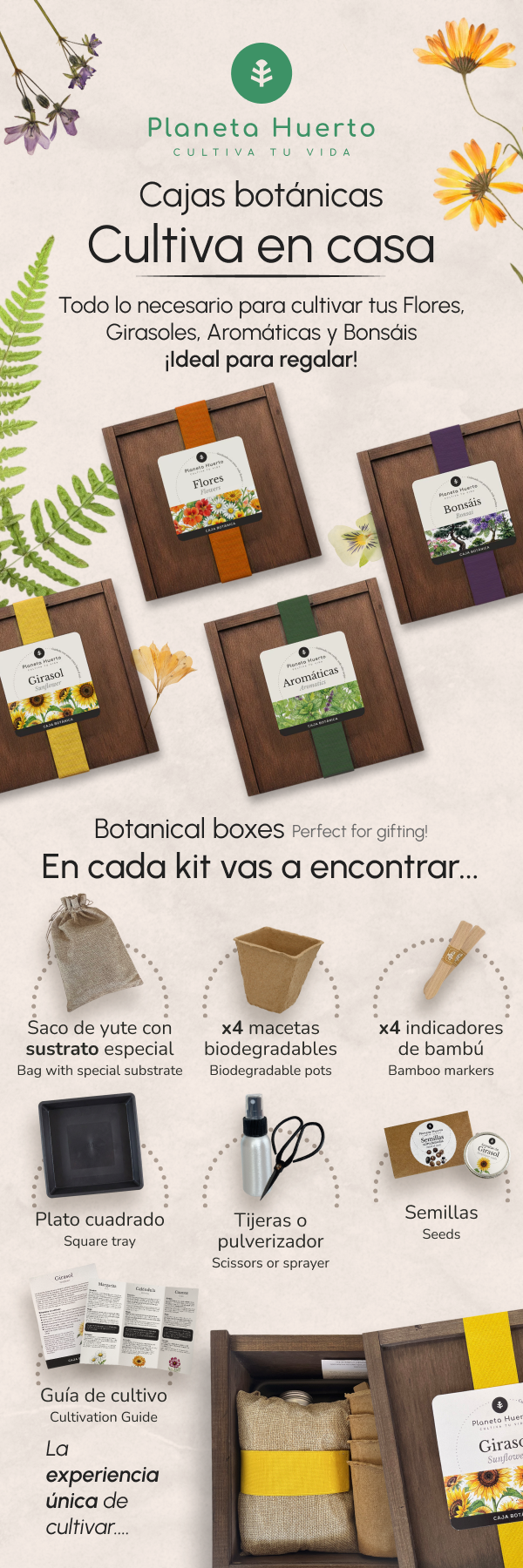Kit de Cultivo de Bonsáis en Caja de Madera – Regalo Original Planeta Huerto
