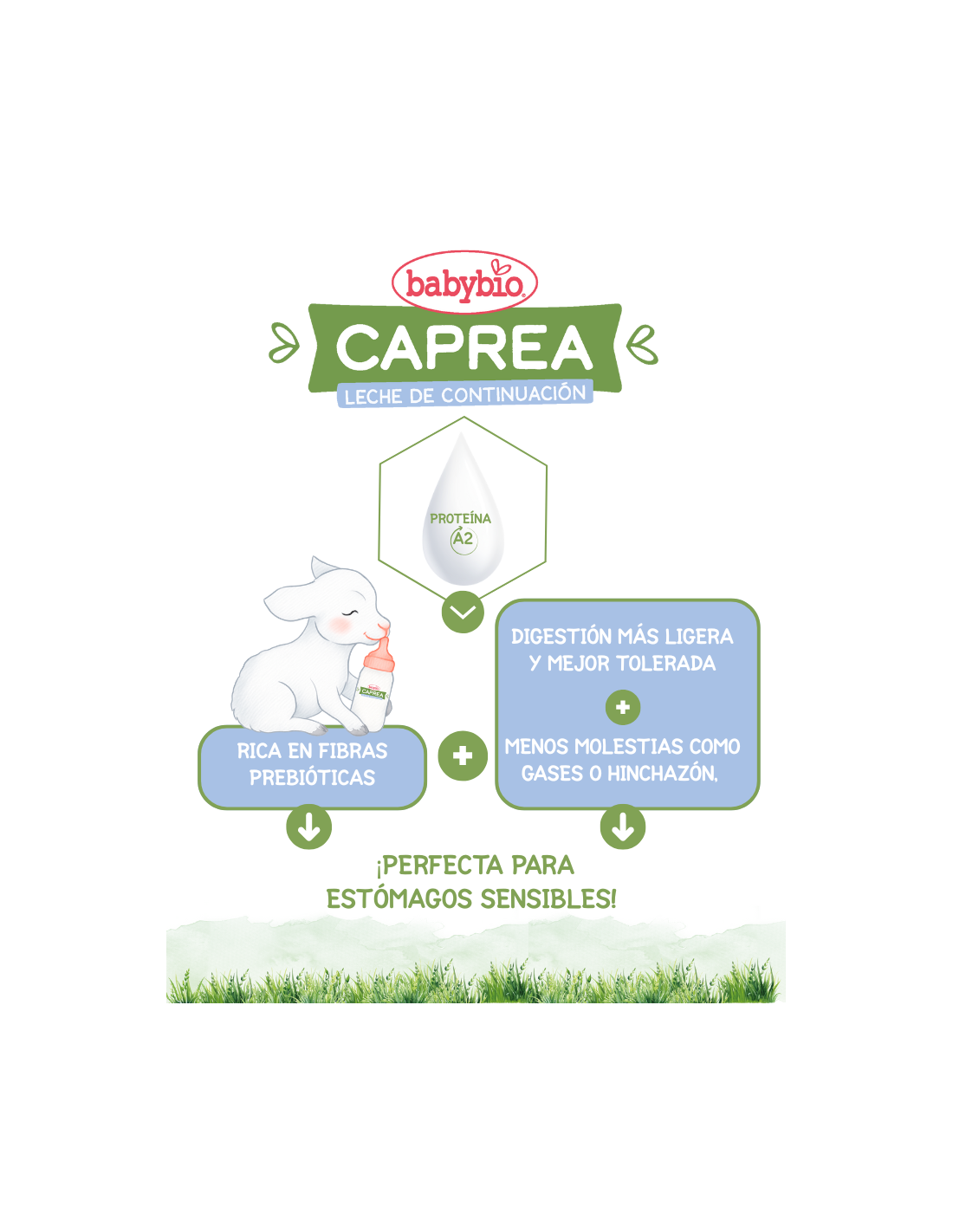 Leche de Cabra BIO Caprea 1 (0 a 6 meses) Ecológica Babybio 400g
