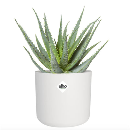 Macetero B.for Soft Round Elho Blanco 30 cm