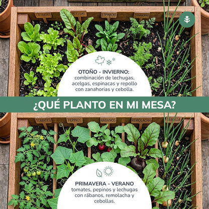 Mesa de Cultivo Huerto (160x80x80cm) Planeta Huerto 220L