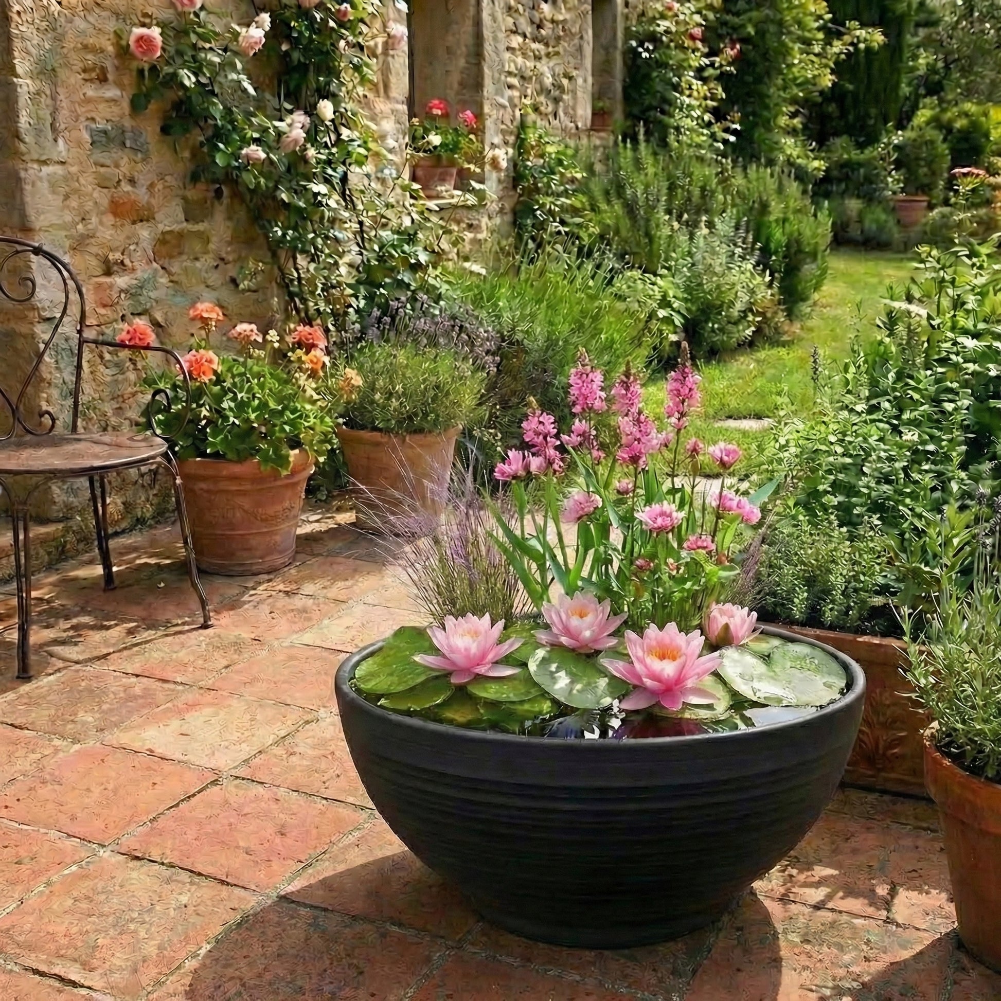 Mini Plantas Estanque Set Rosa - 4 Plantas Cesta Sustrato Abono_1
