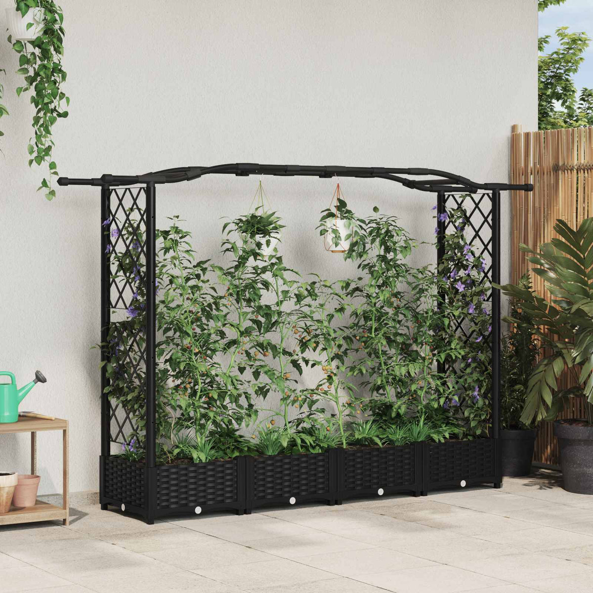 Cama Elevada Con Trellis Y Techo Negro 207 X 40 X 123 Cm Pp_1