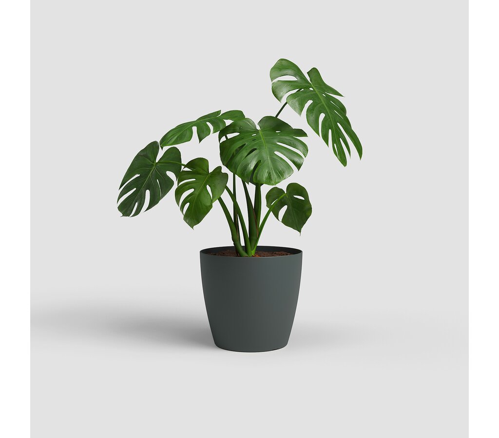 Artevasi Macetero Plastico Mate San Remo Antracita 36cm_1