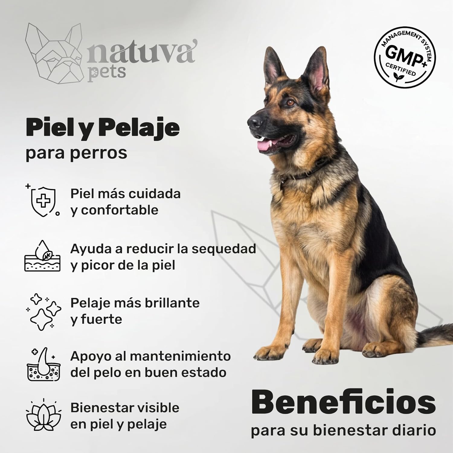 Aceite De Salmón Para Perros. Piel Y Pelo. Suplemento Para Mascotas. 120 Masticables. Natuva Pets_1