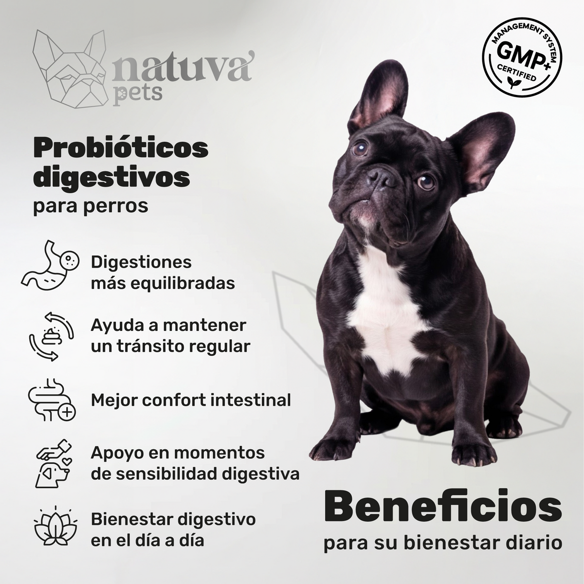 Pack 2x Probiótico Para Perros. Bienestar Digestivo. Suplementos Mascotas. 240 Masticables. Natuva Pets_1