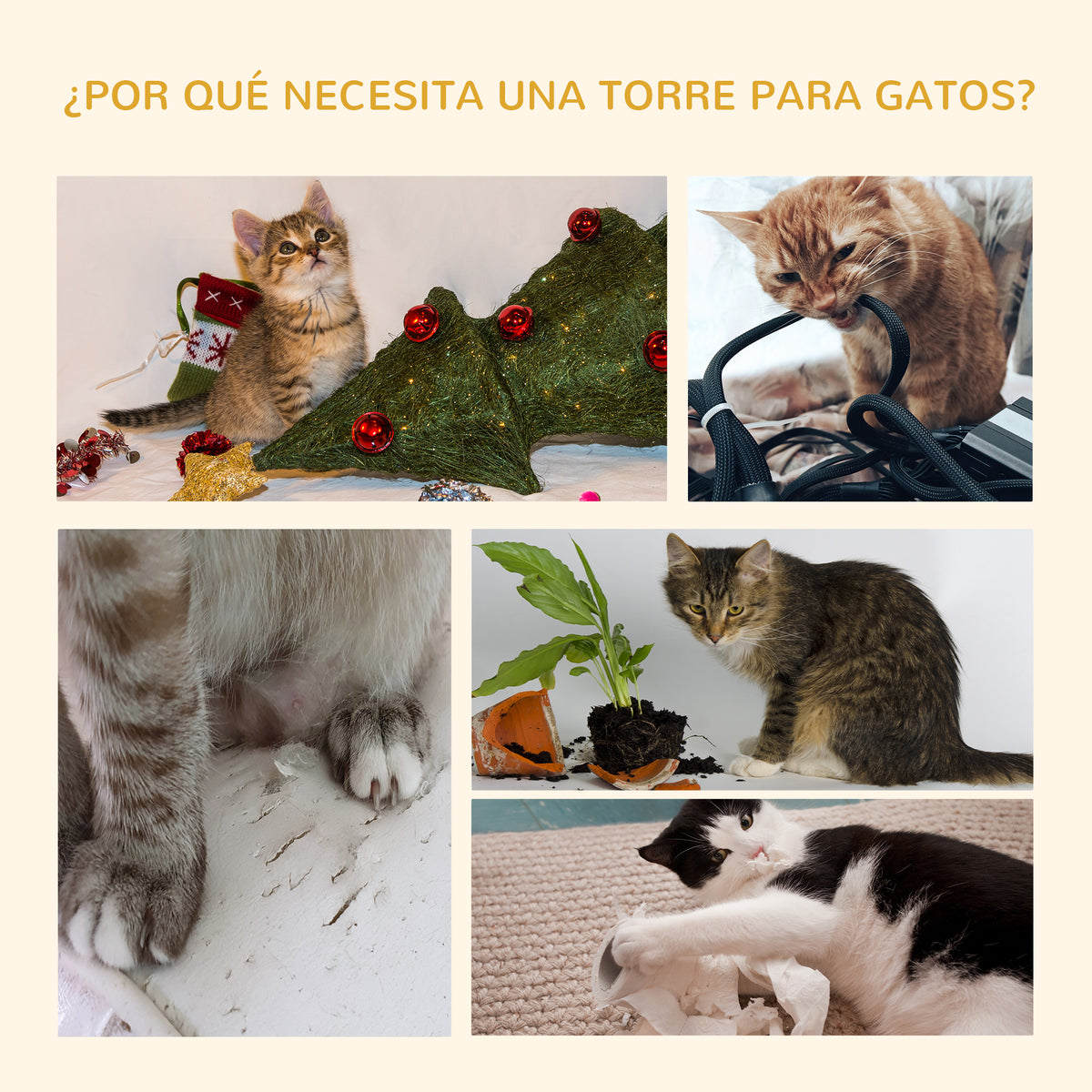Pawhut Árbol Rascador Para Gatos 60x45x240-260 Cm Altura Ajustable Plataformas_3