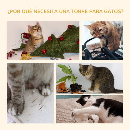 Pawhut Árbol Rascador Para Gatos 60x45x240-260 Cm Altura Ajustable Plataformas_3