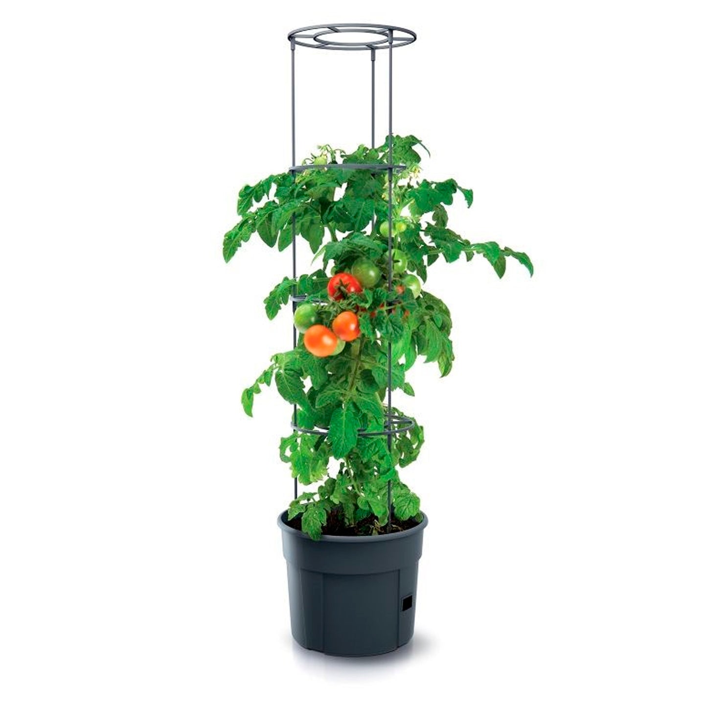 Grow Pot For Tomatoes "grow 1", Ø 295 Mm, Anthracite_2